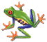 1430164460426c29ef27c73