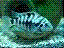 18057755754287bbba2015e
