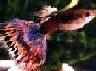 69197270542e52b657f082